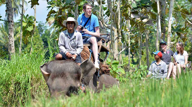 Pengalaman unik menaiki gajah di Bali Elephant Park Bakas