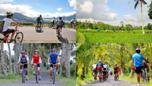 Pengendara sepeda melalui beragam medan di Bali mulai dari pemandangan gunung berapi hingga sawah yang subur dalam tur Sobek Cycling Kintamani hingga Ubud