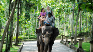 Wisatawan menikmati kegiatan naik gajah di Bali