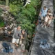 Keluarga menikmati waktu di Bali Bird Park, salah satu destinasi ramah anak di Ubud.
