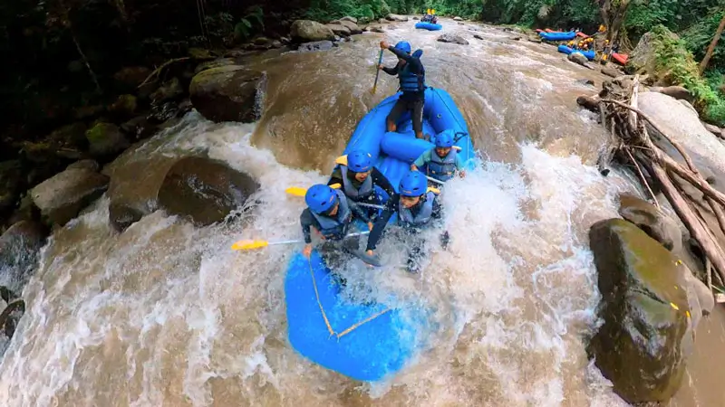 Tim rafting melewati jeram deras di Sungai Ayung Ubud
