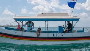 Glass bottom boat privat (charter per boat) untuk tur Turtle Island