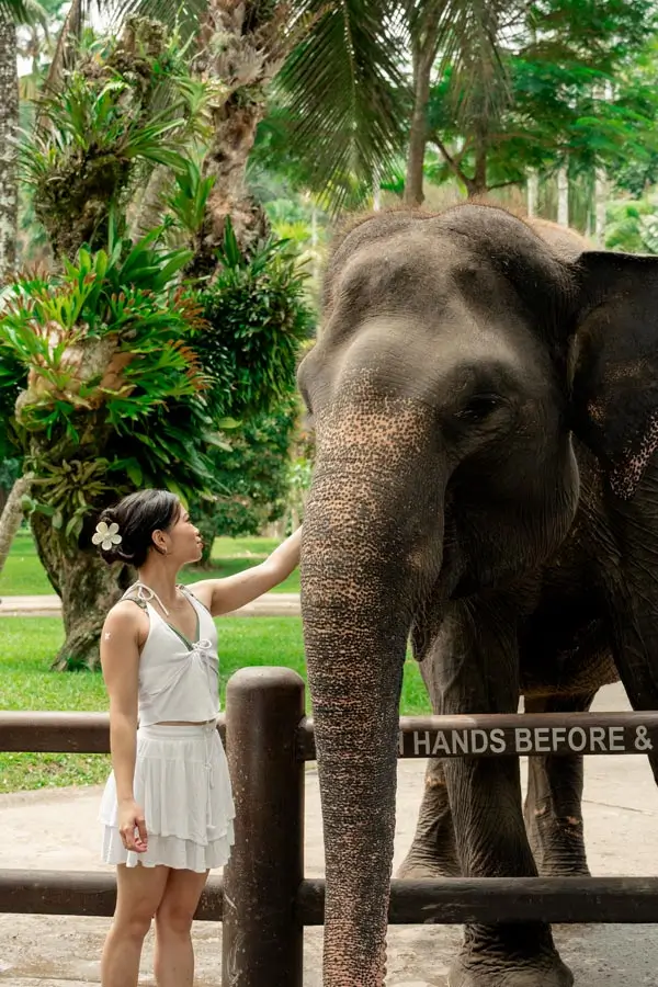 Pengunjung menyapa gajah dari dekat sesuai aturan park (tanpa ride)