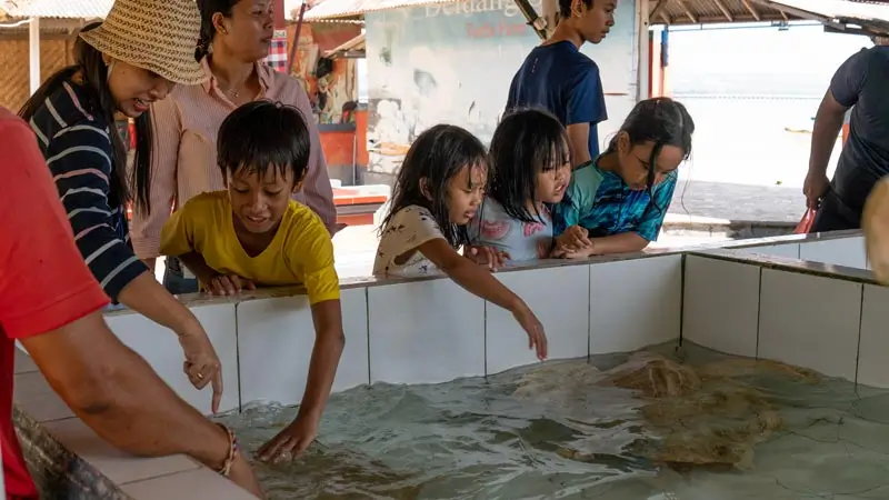 Anak-anak melihat penyu di kolam konservasi Pulau Penyu Tanjung Benoa