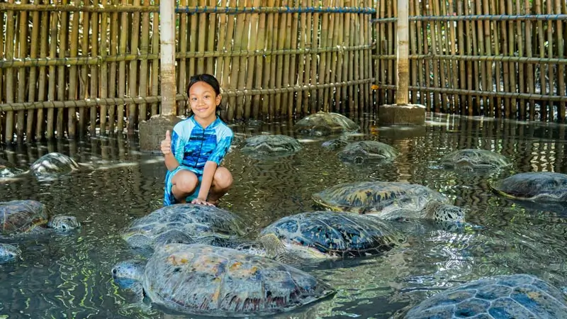 Anak berfoto di kolam penyu saat wisata Pulau Penyu