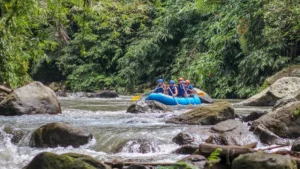 Ayung rafting Ubud di Sungai Ayung, hutan hijau dan bebatuan