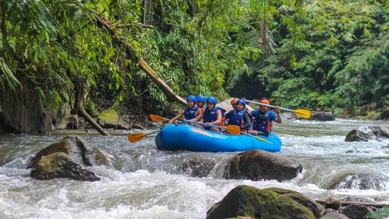 Perahu rafting melaju di sungai hutan dengan jeram ringan