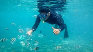 Peserta snorkeling Tanjung Benoa melihat ikan di air jernih