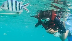 Peserta snorkeling Sanur melihat ikan di bawah laut