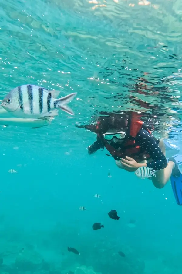 Peserta snorkeling Sanur melihat ikan di bawah laut