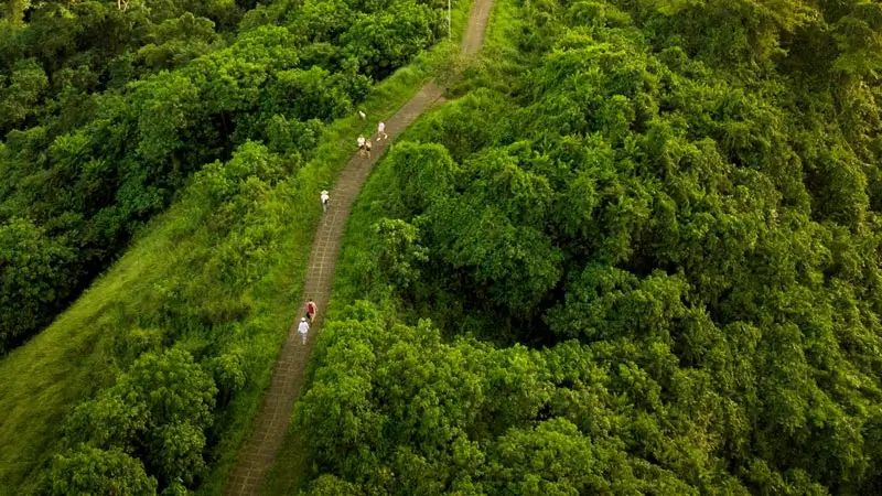 Jalur hijau Bukit Campuhan sebagai tempat wisata gratis di Ubud