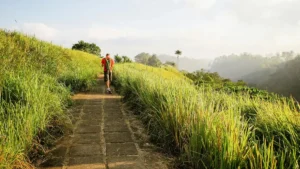 Bukit Campuhan sebagai tempat wisata gratis di Ubud untuk jalan kaki