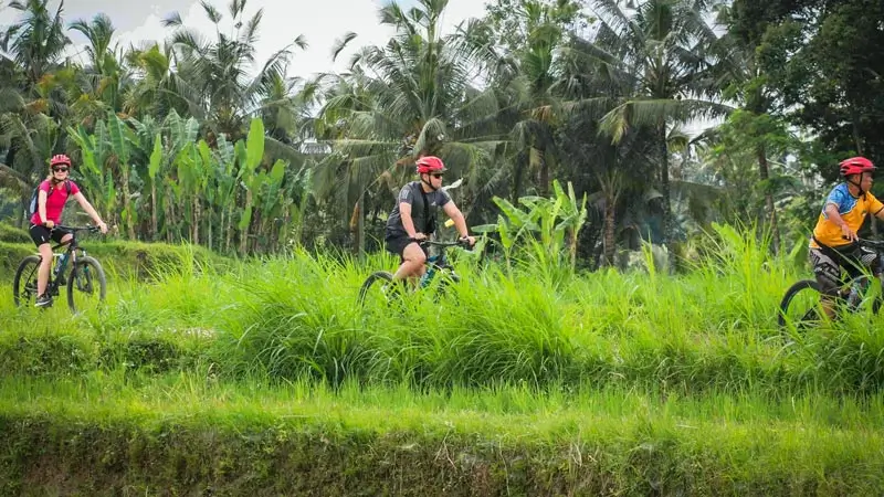 Peserta cycling di jalur hijau pedesaan Bali