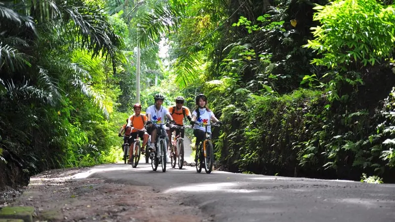 Peserta cycling melewati jalur hijau di Ubud