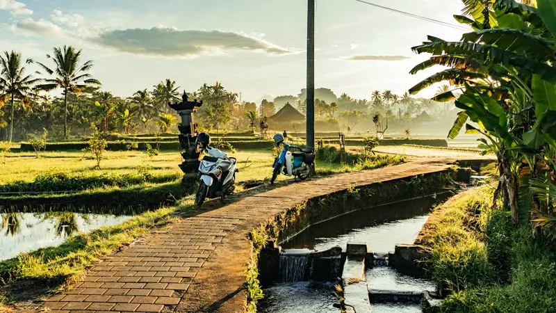Jalur sawah publik di Ubud untuk wisata murah dengan akses jelas