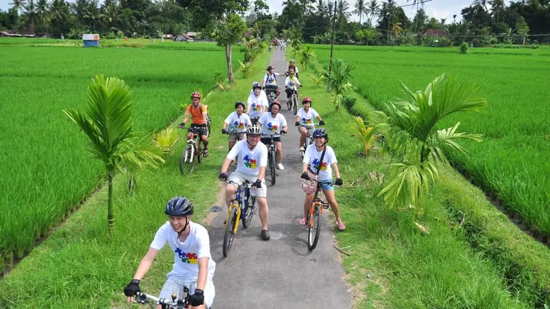 Rombongan cycling melewati area sawah di Ubud